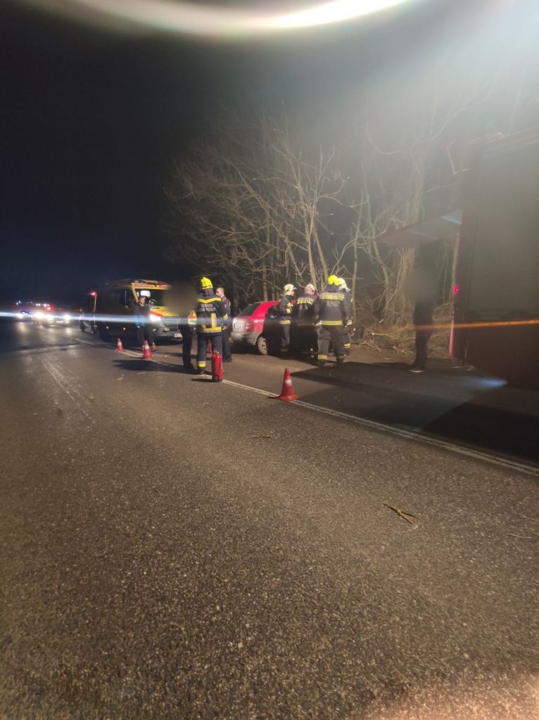 Lesodródott az útról és fának csapódott