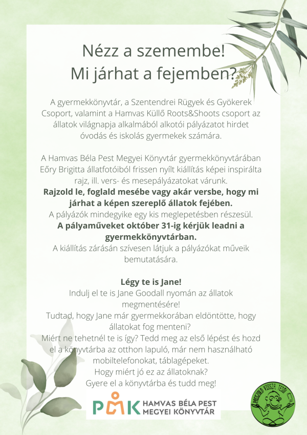 Gyerekeknek hirdet alkotói pályázatot a könyvtár